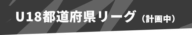 U18都道府県リーグ（計画中）